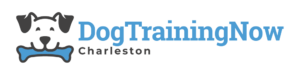 Dog Training Now Charleston