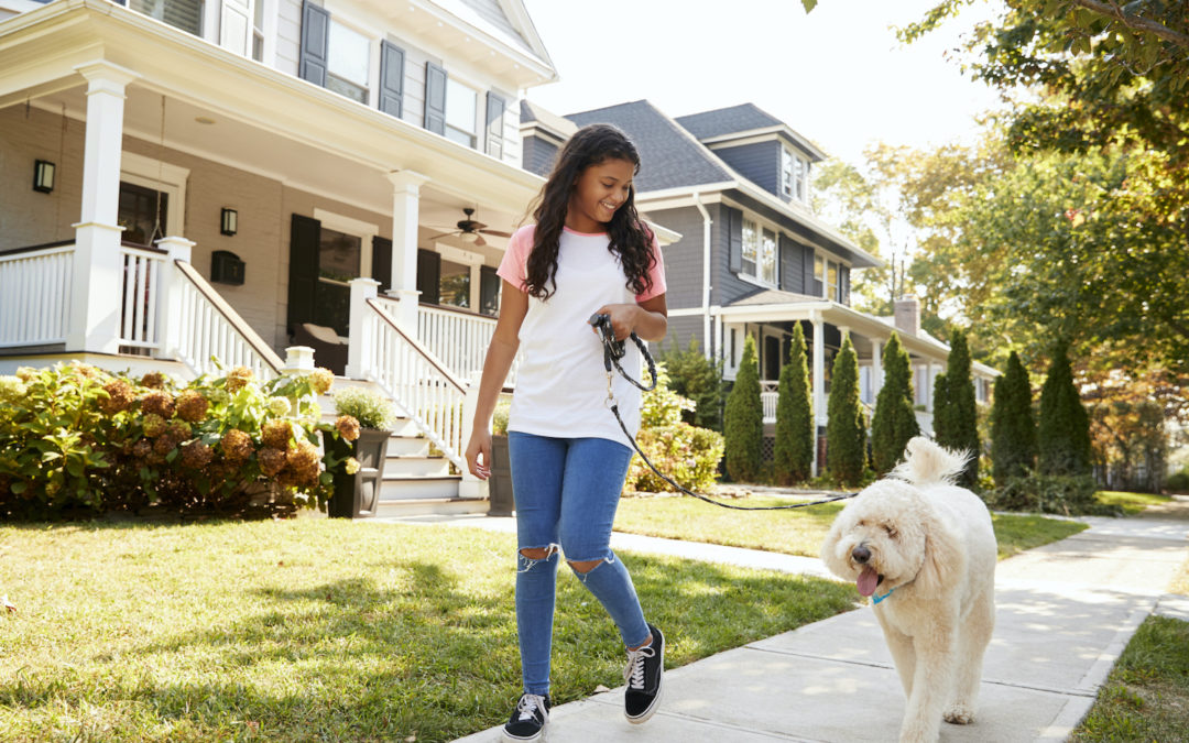 Making the Most of Your Neighborhood Walk