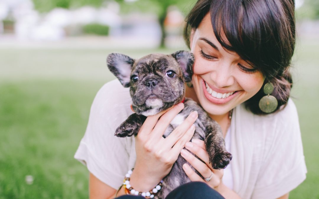 Ways to Introduce Your Canine Family Member to a New Puppy