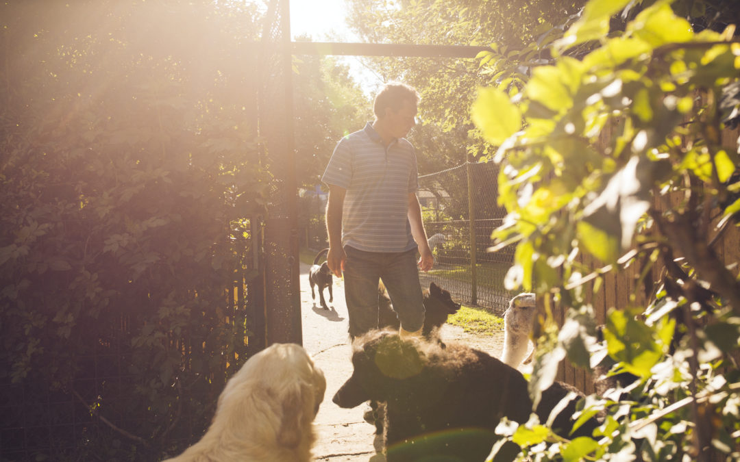 Tips for Bringing Your Puppy to the Dog Park for the First Time