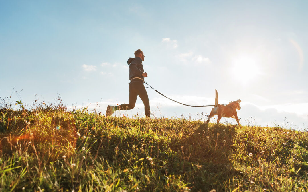 Should You Take Your Dog for a Run?