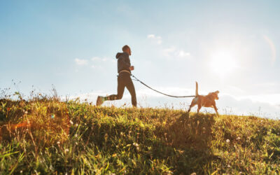 Should You Take Your Dog for a Run?