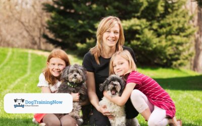 Training Through the Teenage Phase and What to Expect with Adolescent Dogs