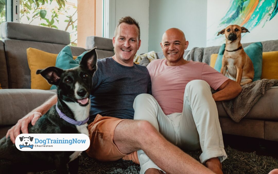 Family Dog Dynamics: Managing Multi-Dog Households with Kids