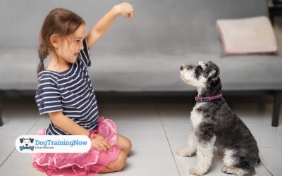 Training for the “Invisible” Milestones (Beyond Sit and Stay)